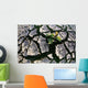 Farmland Affected By Drought, Red River Valley, Manitoba Wall Mural