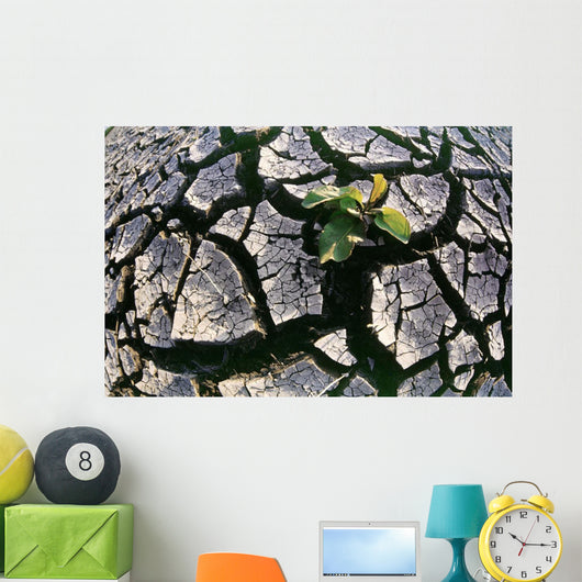 Farmland Affected By Drought, Red River Valley, Manitoba Wall Mural