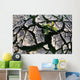 Farmland Affected By Drought, Red River Valley, Manitoba Wall Mural
