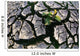 Farmland Affected By Drought, Red River Valley, Manitoba Wall Mural