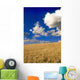 Spring Wheat Field, Tiger Hills, Manitoba Wall Mural