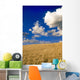 Spring Wheat Field, Tiger Hills, Manitoba Wall Mural