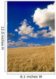 Spring Wheat Field, Tiger Hills, Manitoba Wall Mural