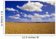 Spring Wheat Field, Tiger Hills, Manitoba Wall Mural