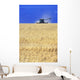 Spring Wheat Harvest, Tiger Hills, Manitoba Wall Mural