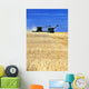 Spring Wheat Harvest, Tiger Hills, Manitoba Wall Mural