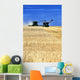 Spring Wheat Harvest, Tiger Hills, Manitoba Wall Mural
