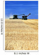 Spring Wheat Harvest, Tiger Hills, Manitoba Wall Mural
