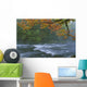 Oxtongue River Provincial Park, Dwight, Ontario Wall Mural