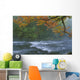 Oxtongue River Provincial Park, Dwight, Ontario Wall Mural