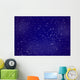 night sky Wall Mural