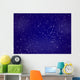 night sky Wall Mural