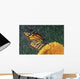 Monarch Butterfly In Rain On Sunflower, Nova Scotia Wall Mural
