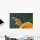 Monarch Butterfly In Rain On Sunflower, Nova Scotia Wall Mural