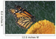 Monarch Butterfly In Rain On Sunflower, Nova Scotia Wall Mural