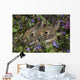 Young Eastern Cottontail Rabbits Wall Mural