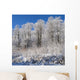 Snow Covered Maple Trees Wall Mural