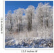 Snow Covered Maple Trees Wall Mural