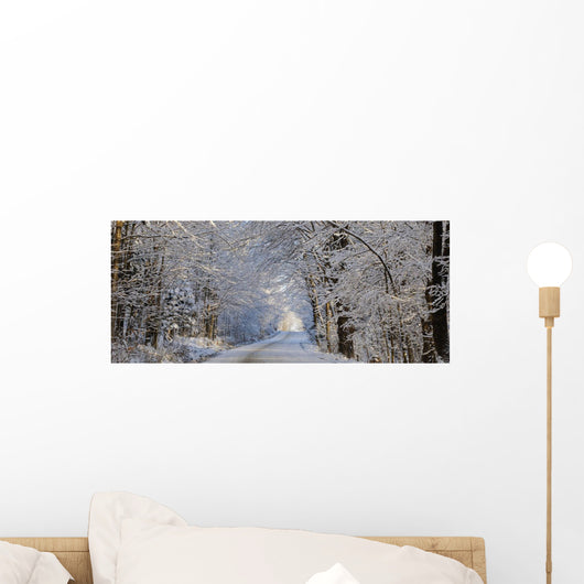 Tree Lined Road In Winter Wall Mural