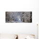 Tree Lined Road In Winter Wall Mural