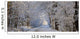 Tree Lined Road In Winter Wall Mural