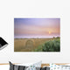 Hay Bales And Sunrise In Fog Near Cremona Alberta Wall Mural
