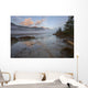 Early Morning On Sandy Banks Of Sunwapta River Wall Mural
