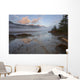 Early Morning On Sandy Banks Of Sunwapta River Wall Mural