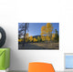 Autumn Sunset In Forest Of Golden Aspen And Spruce Trees Wall Mural