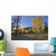Autumn Sunset In Forest Of Golden Aspen And Spruce Trees Wall Mural