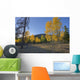 Autumn Sunset In Forest Of Golden Aspen And Spruce Trees Wall Mural