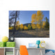 Autumn Sunset In Forest Of Golden Aspen And Spruce Trees Wall Mural
