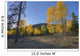 Autumn Sunset In Forest Of Golden Aspen And Spruce Trees Wall Mural