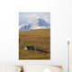Abandoned Farmhouse Outside Of Waterton National Park, Alberta Wall Mural