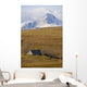 Abandoned Farmhouse Outside Of Waterton National Park, Alberta Wall Mural