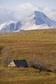 Abandoned Farmhouse Outside Of Waterton National Park, Alberta Wall Mural