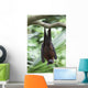A Flying Fox Bat Hangs Upside Down From A Tree Branch Wall Mural