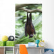 A Flying Fox Bat Hangs Upside Down From A Tree Branch Wall Mural