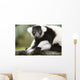 A Black-And-White Ruffed Lemur At The Singapore Zoo Wall Mural