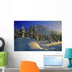 Winter Scene, Boom Lake, Banff National Park, Alberta Wall Mural