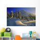 Winter Scene, Boom Lake, Banff National Park, Alberta Wall Mural