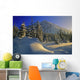 Winter Scene, Boom Lake, Banff National Park, Alberta Wall Mural