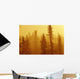 Black Spruce Bog In Fog At Sunrise, Boreal Forest In Upsala, Ontario Wall Mural