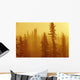 Black Spruce Bog In Fog At Sunrise, Boreal Forest In Upsala, Ontario Wall Mural