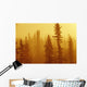 Black Spruce Bog In Fog At Sunrise, Boreal Forest In Upsala, Ontario Wall Mural