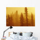 Black Spruce Bog In Fog At Sunrise, Boreal Forest In Upsala, Ontario Wall Mural