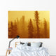 Black Spruce Bog In Fog At Sunrise, Boreal Forest In Upsala, Ontario Wall Mural