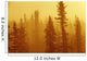 Black Spruce Bog In Fog At Sunrise, Boreal Forest In Upsala, Ontario Wall Mural