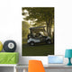 Golf Carts In Early Morning At A Golf Club, Newmarket, Ontario Wall Mural