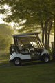Golf Carts In Early Morning At A Golf Club, Newmarket, Ontario Wall Mural